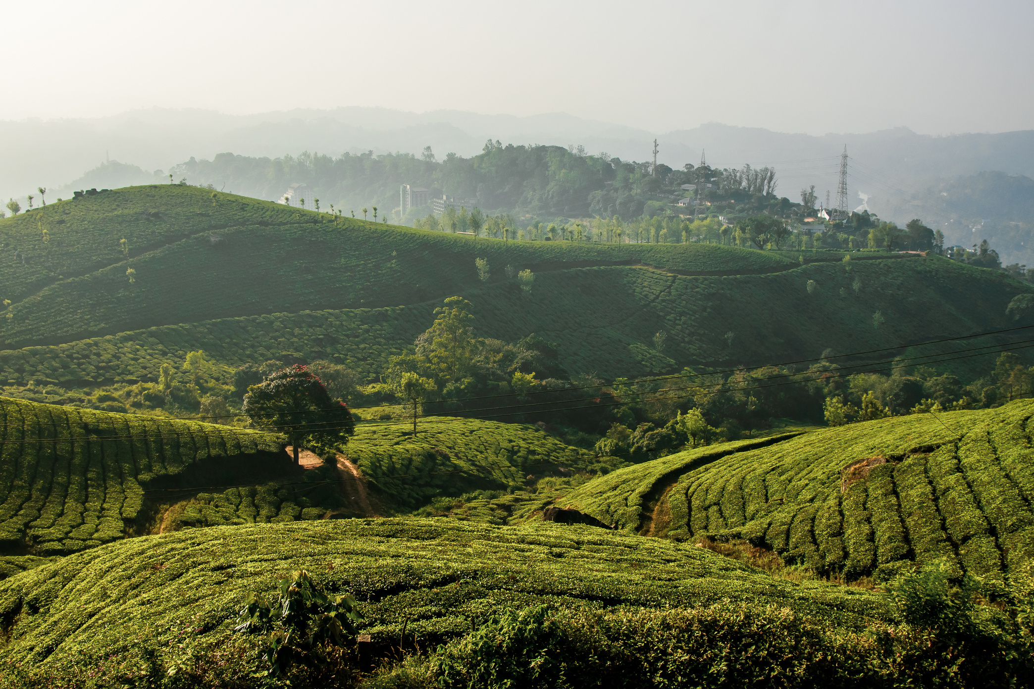 Mountain Landscape in Kerala